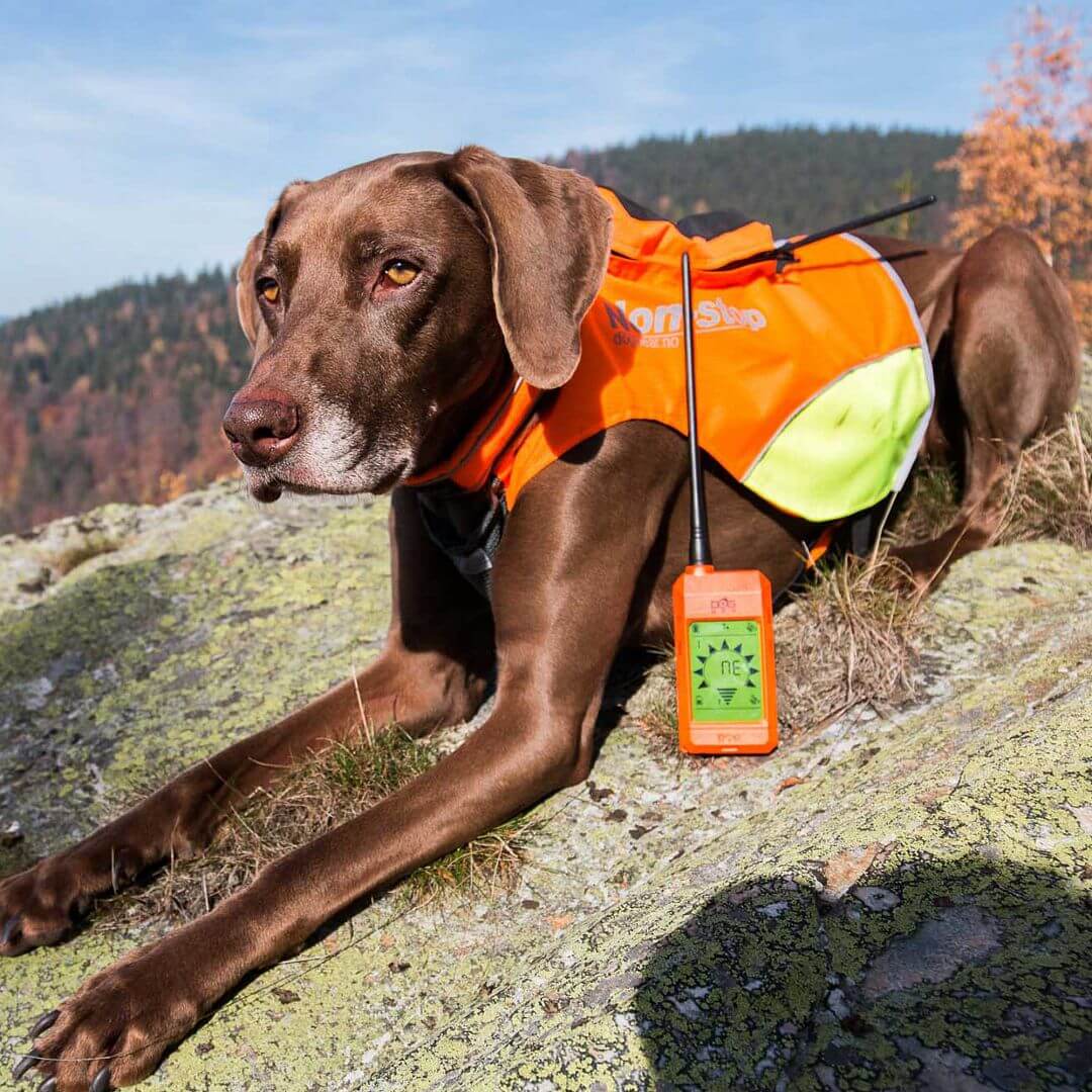 Odbiornik DOGTRACE DOG GPS X20 - Odbiornik i lokalizator na psie