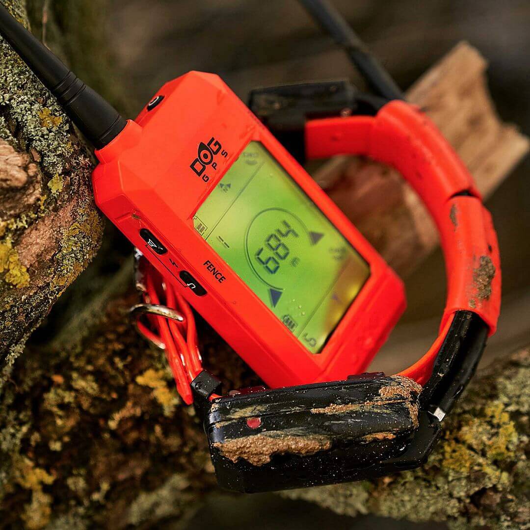 Odbiornik DOGTRACE DOG GPS X25 - Odbiornik i lokalizator w terenie