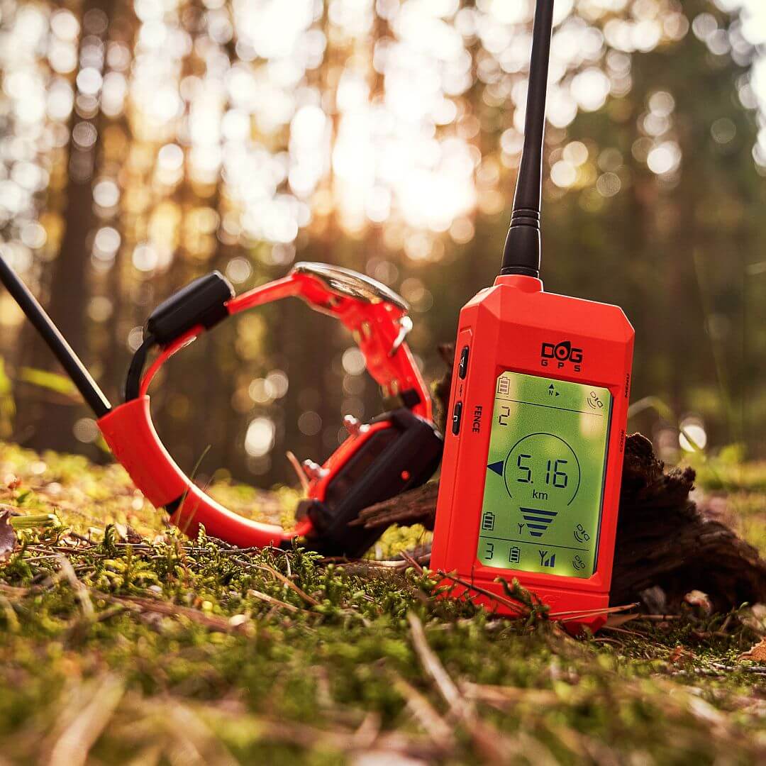 Odbiornik DOGTRACE DOG GPS X25 - Odbiornik i obroża w terenie