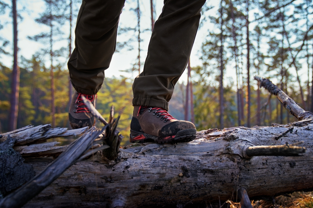 BUTY HARKILA PRO HUNTER LIGHT MID GTX - Ciemny Brąz - Buty na pniu drzewa