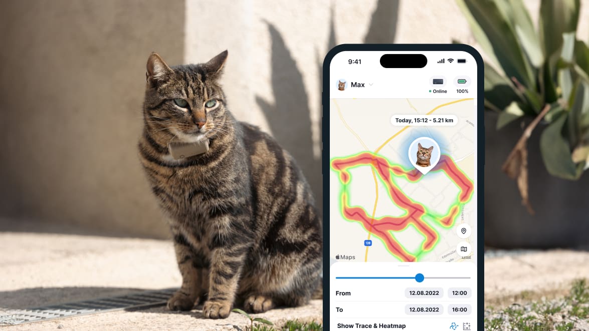 Tractive GPS CAT Mini - Mapa ciepła