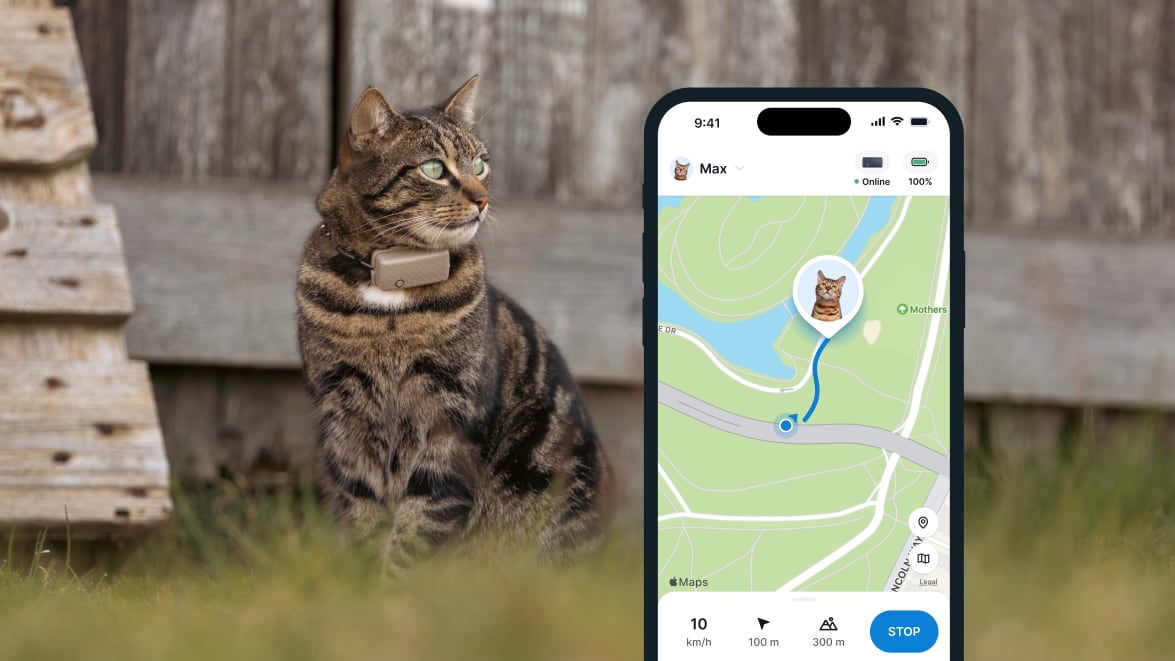 Tractive GPS CAT Mini - Funkcja GPS LIVE Tracking