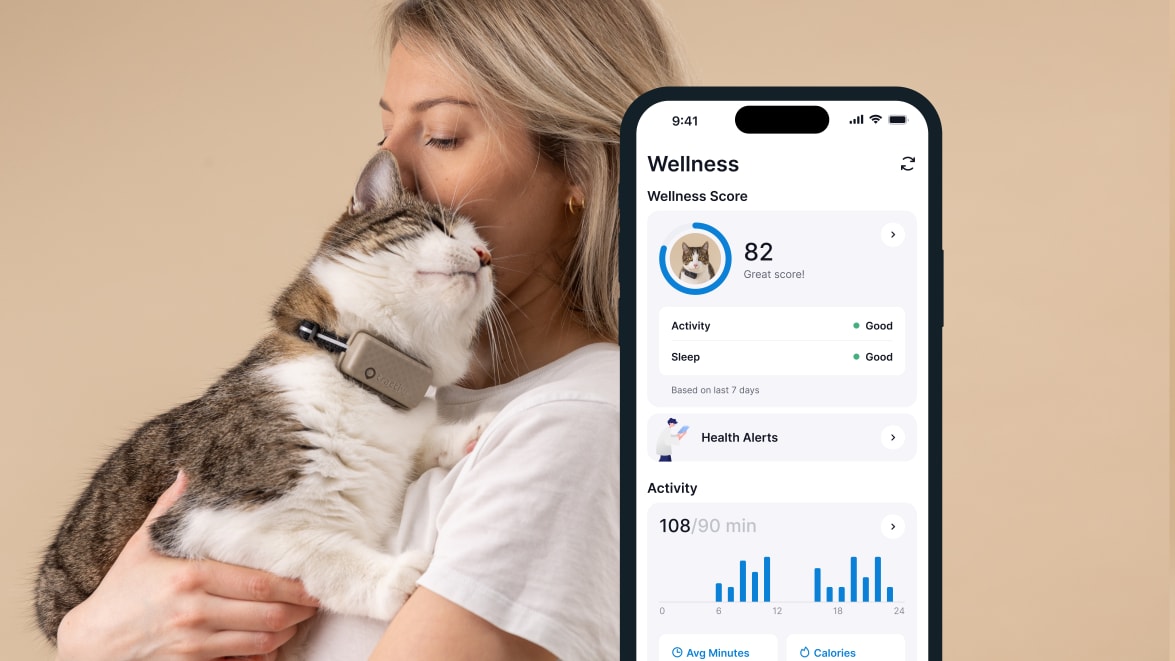 TRACTIVE GPS CAT Mini - Wellness