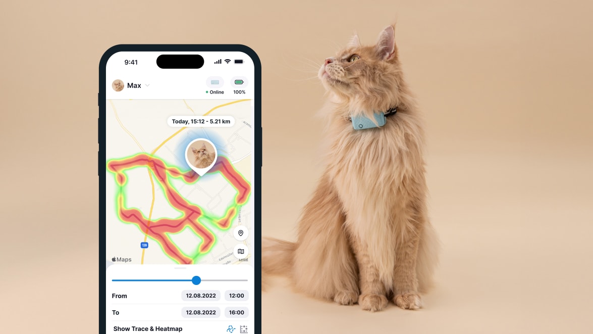 Tractive GPS CAT Mini - Mapa ciepła