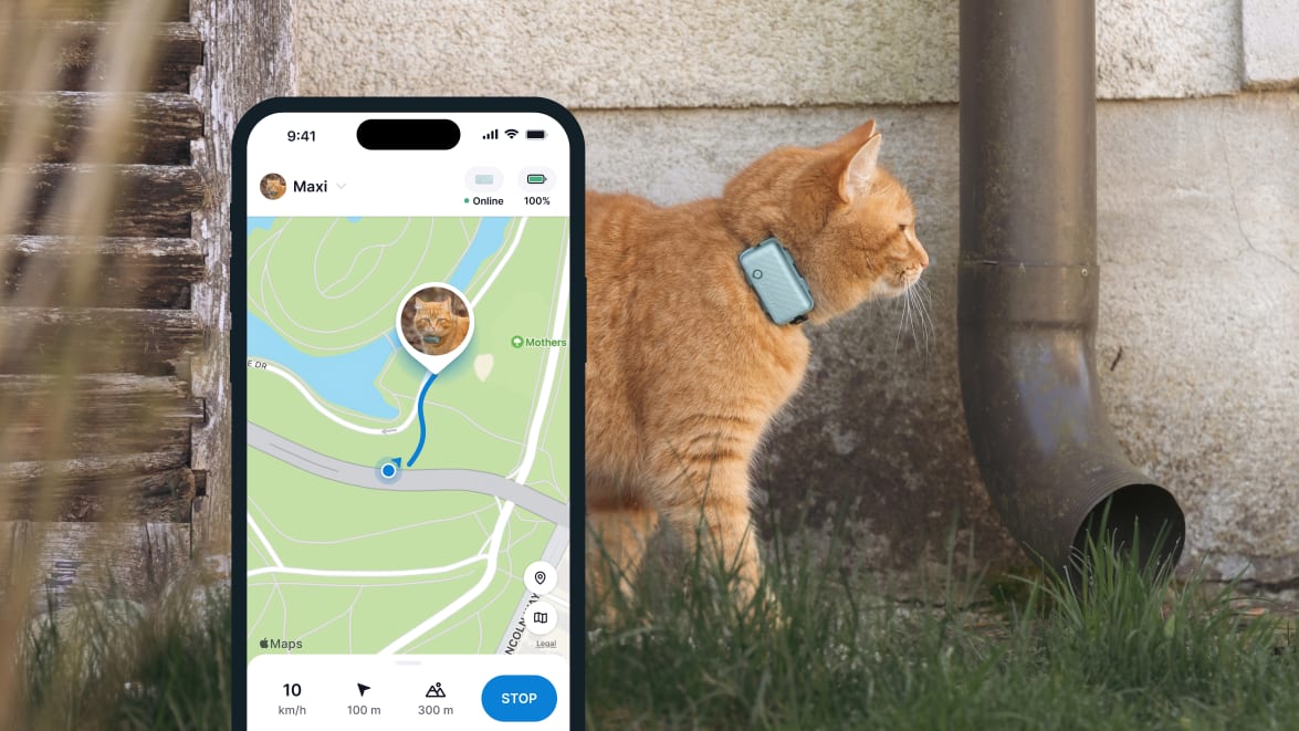 Tractive GPS CAT Mini - Funkcja GPS LIVE Tracking