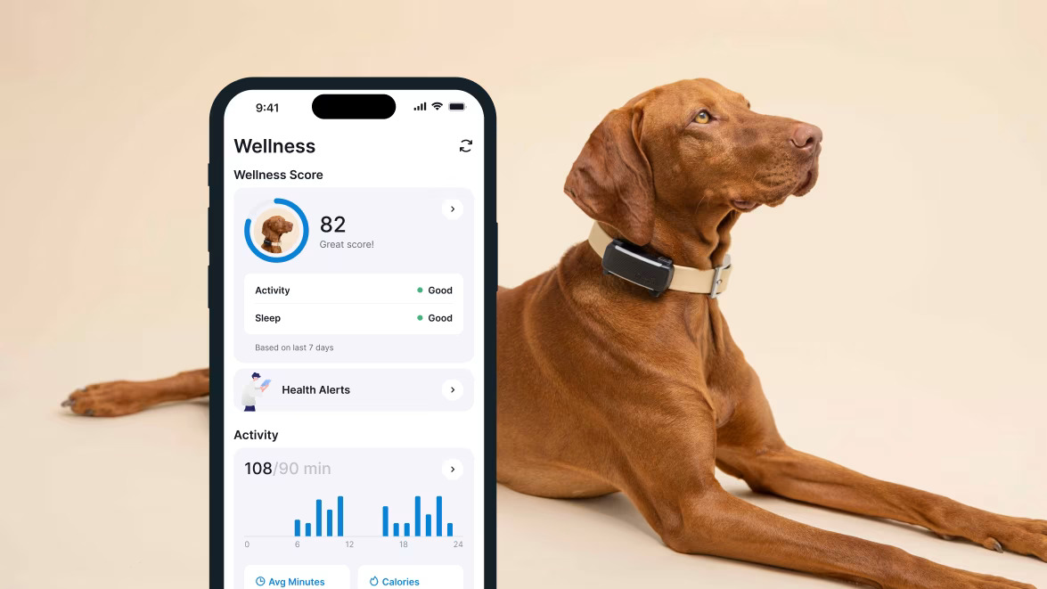 TRACTIVE GPS DOG GPS & HEALTH - Aplikacja