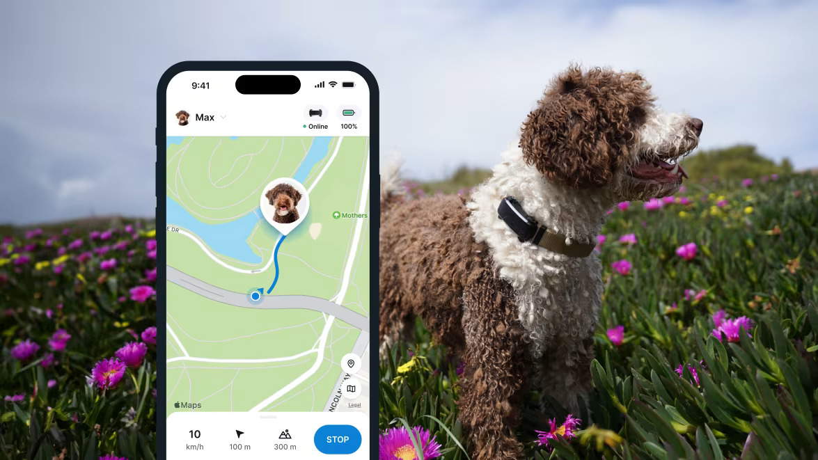 Tractive GPS DOG GPS & HEALTH - Funkcja GPS LIVE Tracking