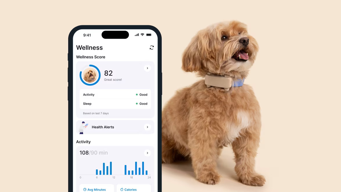 TRACTIVE GPS DOG GPS & HEALTH - Aplikacja