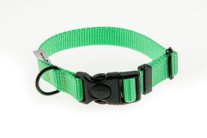 Obroża z taśmy 4WILD 20mm 25-35 cm - Neonowa zieleń