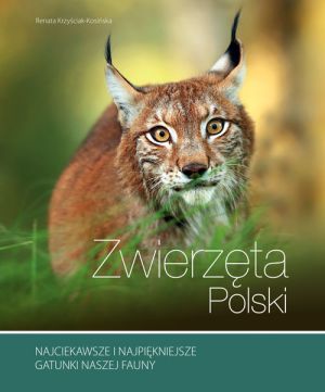 Książka "Zwierzęta Polski" Renata Kosińska MULTICO